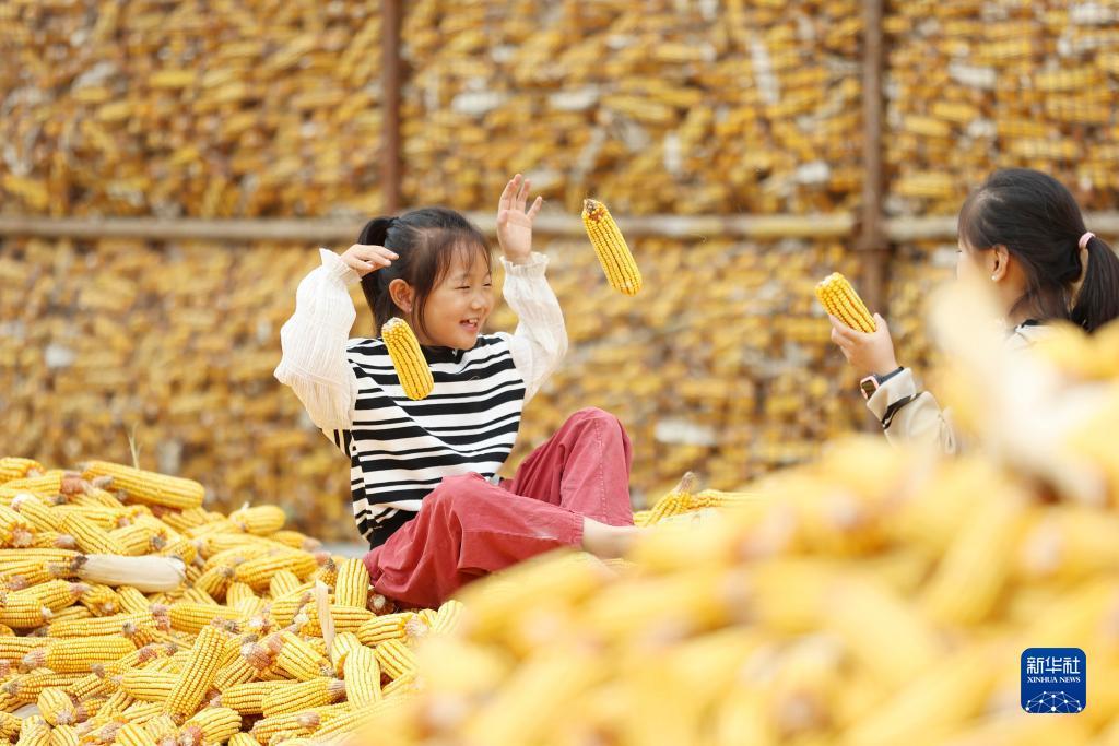 cq 手游